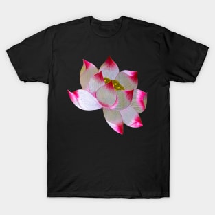 Magnificent Pink Lotus flower embroidery T-Shirt